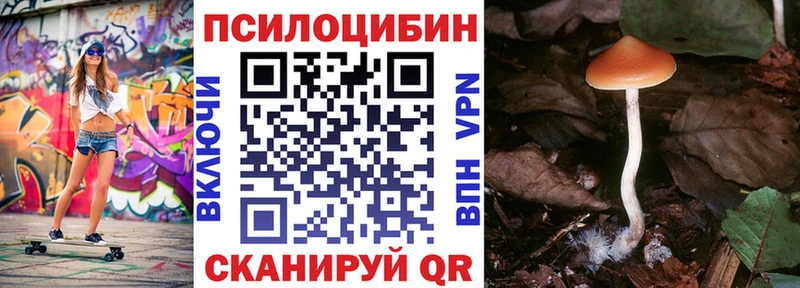 Купить закладки  Сысерть  Псилоцибиновые грибы мухоморы 